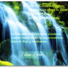 Quote Liliana Lorna 1
