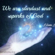 we are stardust and sparks of god